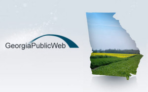 georgia public web